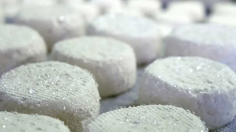 fromagerie - chèvres - Campénéac - Brocéliande