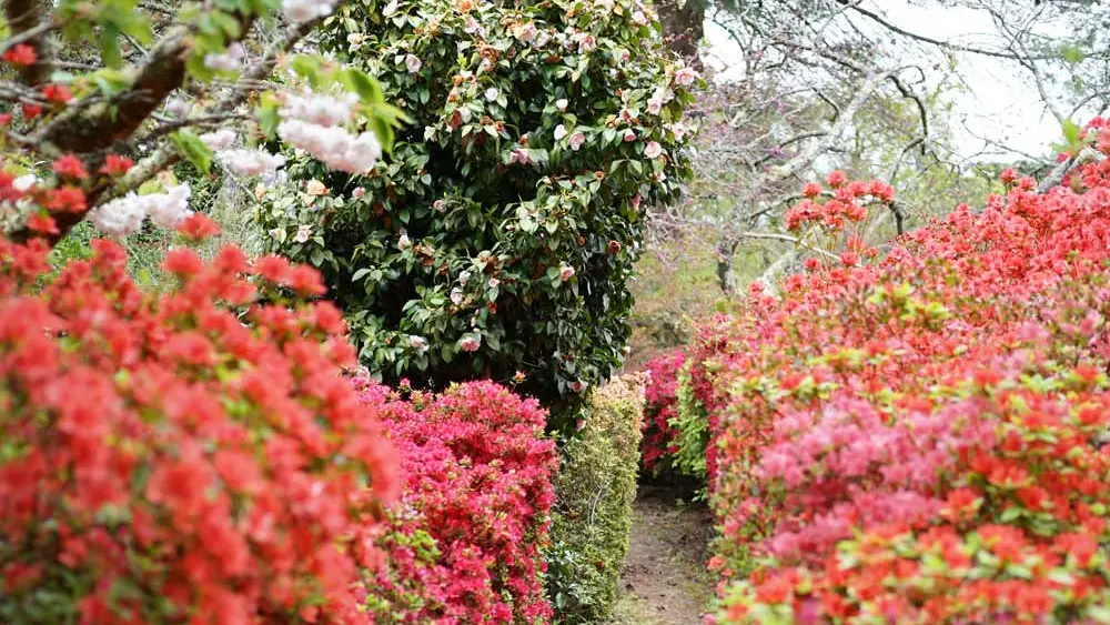 Domaine de Boutiguéry