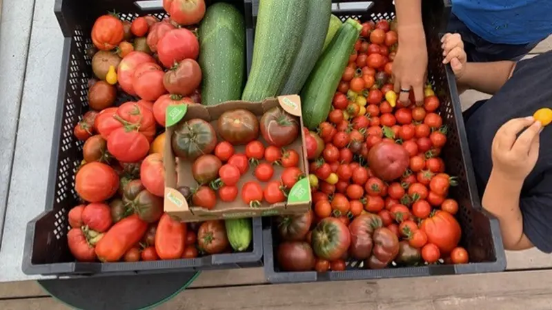 jardin-eden_permaculture_jardin-foret_Concoret_DestinationBroceliande