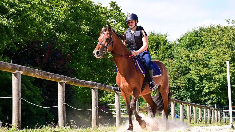 Camping Mané Guernehué