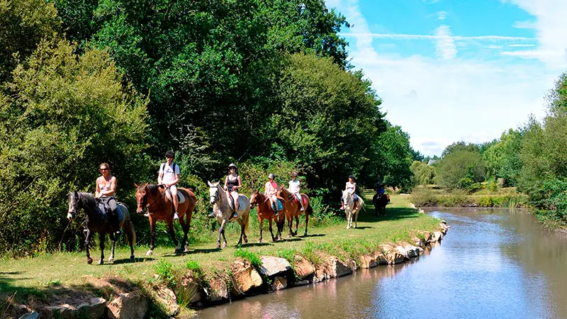 Camping Mané Guernehué