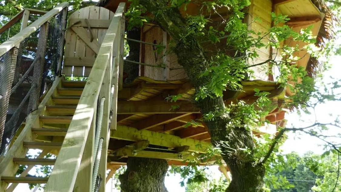 Cabane de Brocéliande