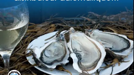 Dégustation-Huitre Cahue-St Méloir des Ondes