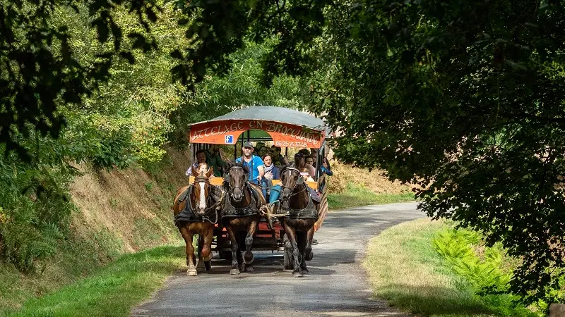 Calèche_de_Brocéliande_balade_contes_Tréhorenteuc_DestinationBrocéliande