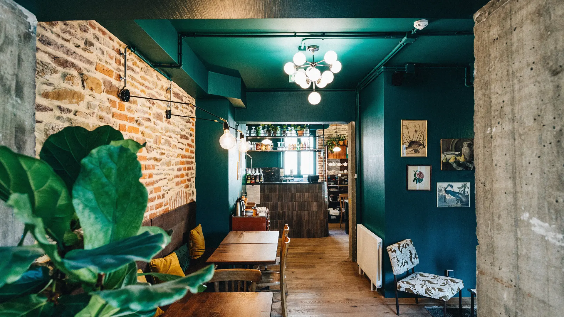 chouettes-hostel-hotel-rennes-centre-ville-gare-saint-helier-auberge-jeunesse (8)