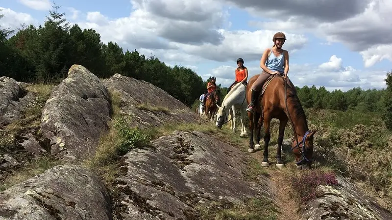 Chevaux_de_Brocéliande_centre_équestre_Tréhorenteuc