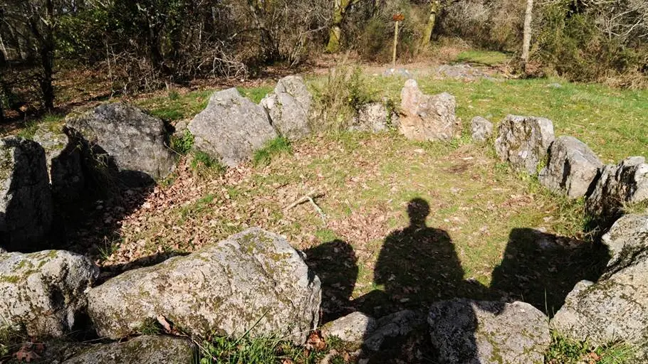 Dolmen de Mané Bogad Ploemel - Morbihan Bretagne sud (1)