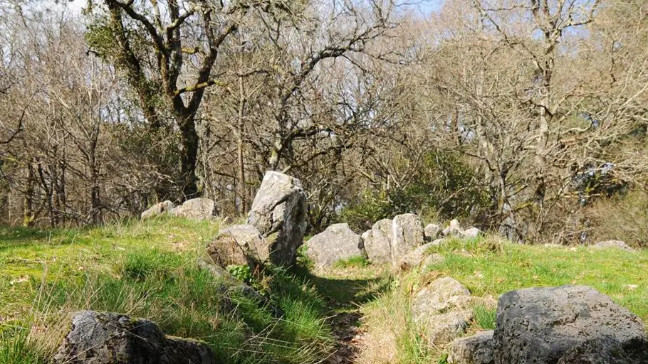 Dolmen de Mané Bogad Ploemel - Morbihan Bretagne sud (2)