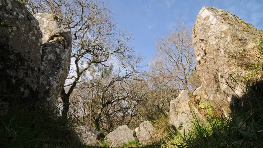 Dolmen de Mané Bogad Ploemel - Morbihan Bretagne sud (3)