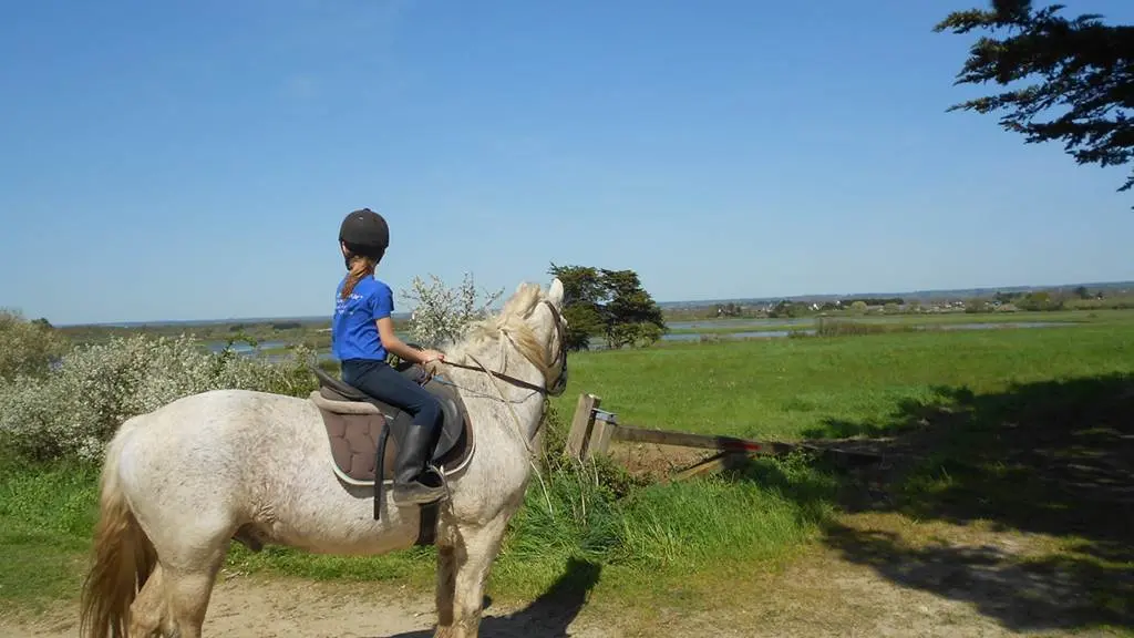 La-Calèche-de-Séné-Golfe-du-Morbihan-Bretagne sud