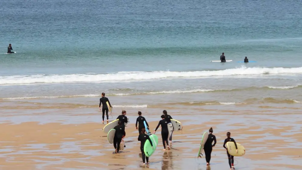 Presqu'Ile Surf School