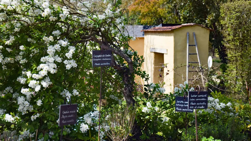 Les Jardins de Brocéliande