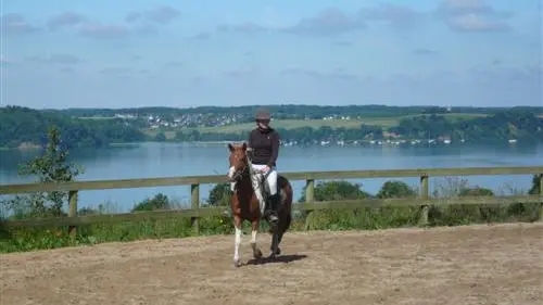 écuries des perrieresb La Ville ès Nonais