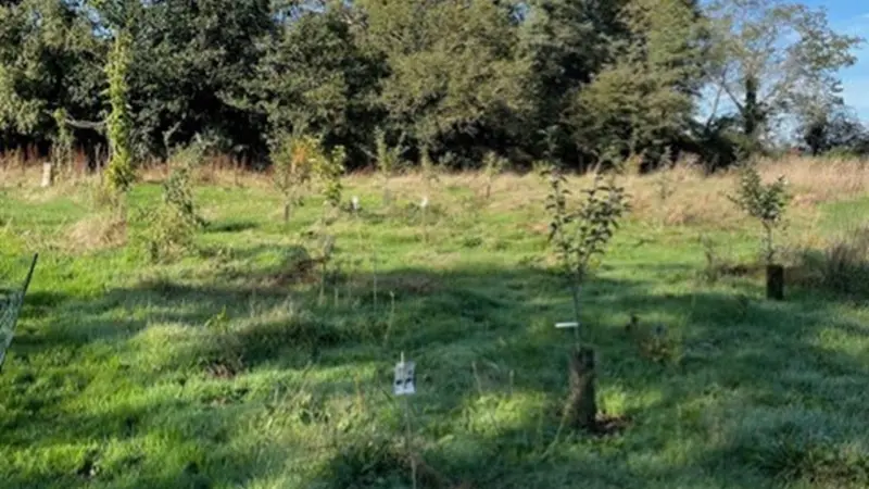 jardin-eden_permaculture_jardin-foret_Concoret_DestinationBroceliande