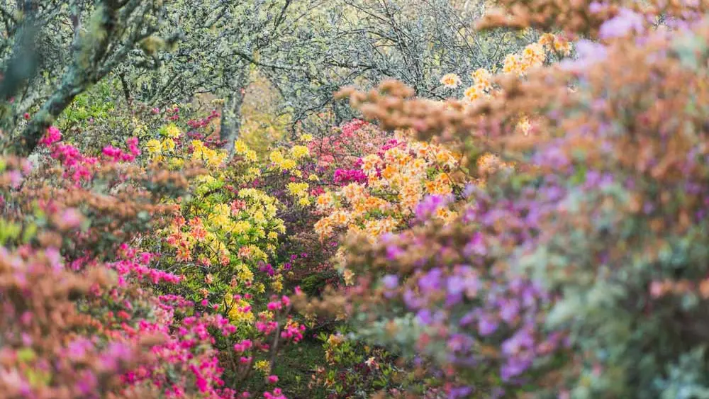 Domaine de Boutiguéry