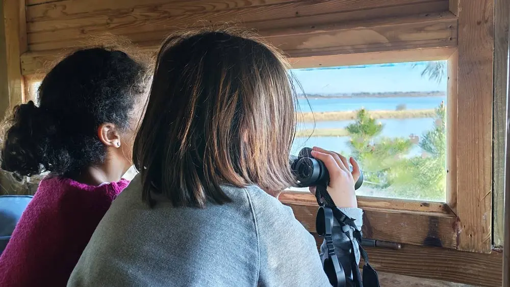 La petite Reine de Rhuys