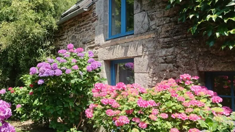 Studio - Les Floralis - La Grée St Laurent - Brocéliande - Bretagne