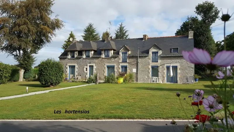 Les Hortensias - Saint-Just