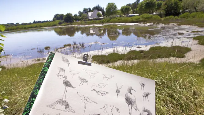 fiche-12_Mesquer-3_tlocquard-2023