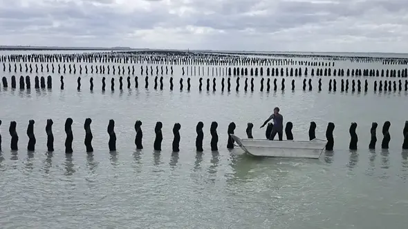 Comité AOP Moules de bouchot de la Baie du Mont-Saint-Michel