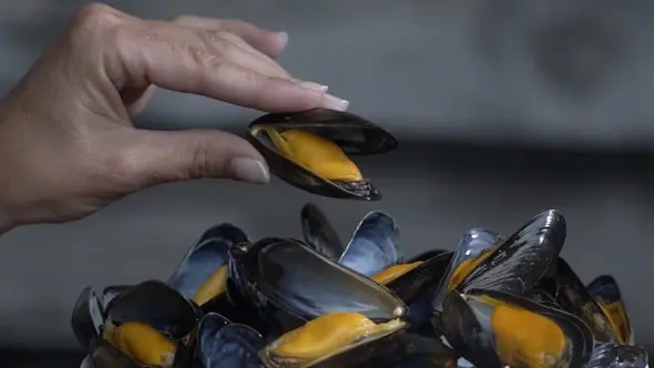 Comité AOP Moules de bouchot de la Baie du Mont-Saint-Michel