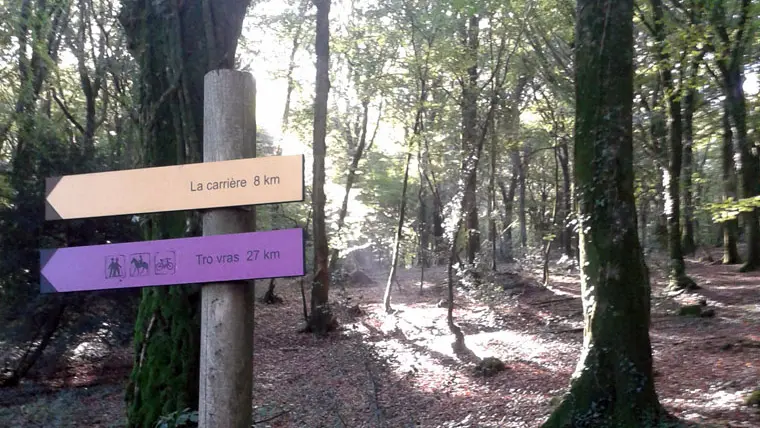 foret-avaugour-balisage