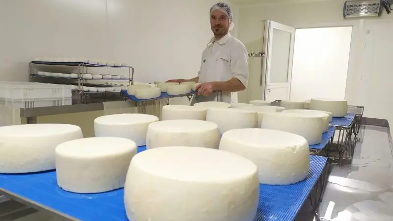 Les fromages de la ferme de choupette