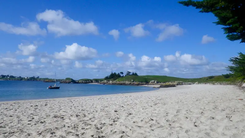 Albatros Lines Navigation