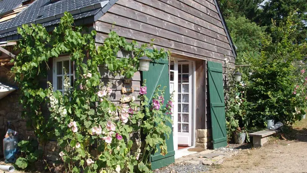 Le Petit Poisson Vert