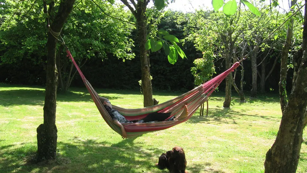 Au Domaine des Camélias