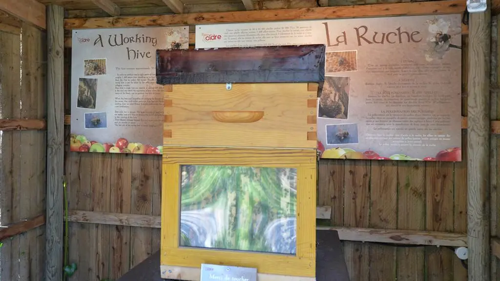 La-Maison-du-Cidre-Le-Hezo-Morbihan-Bretagne-Sud-HD56-4