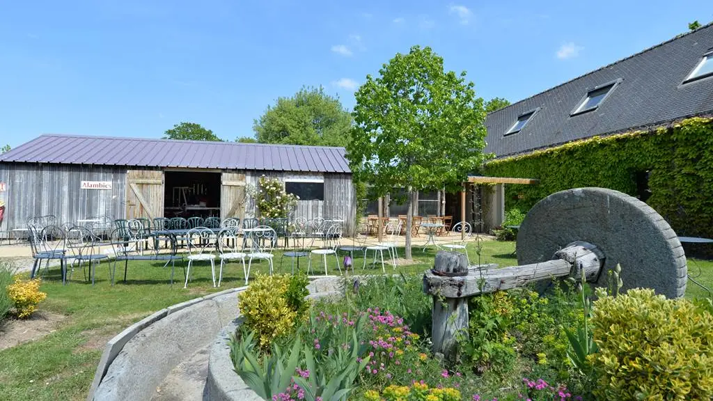 La-Maison-du-Cidre-Le-Hezo-Morbihan-Bretagne-Sud-HD56-2