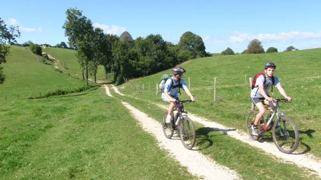 Horizon Sports Loisrs