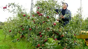 Les Vergers Latapie