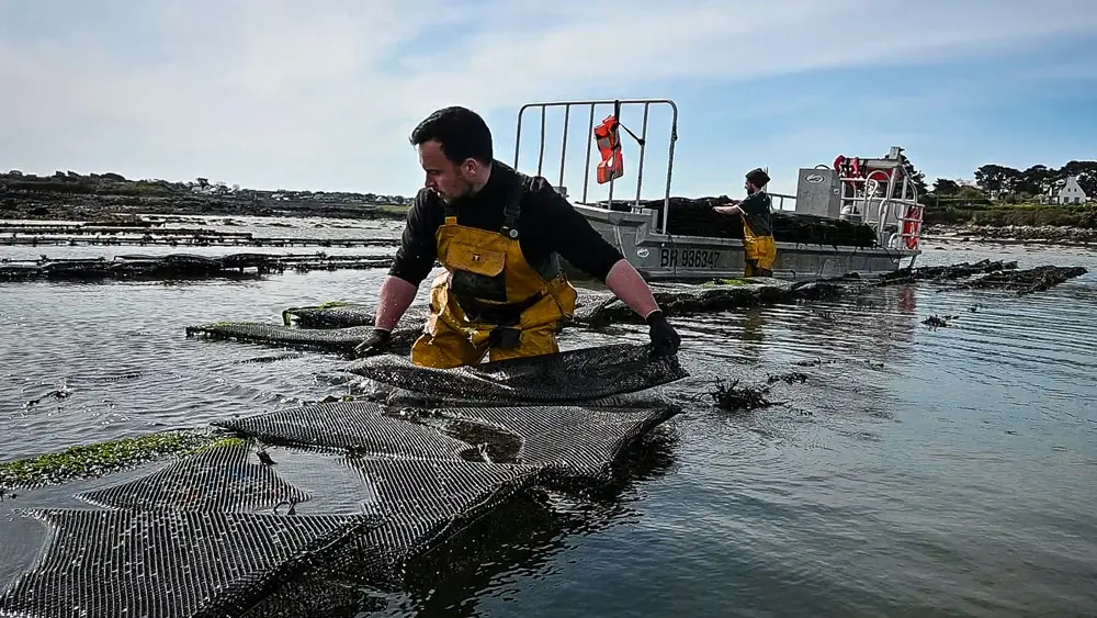 Aber Wrac'h Huîtres Bar