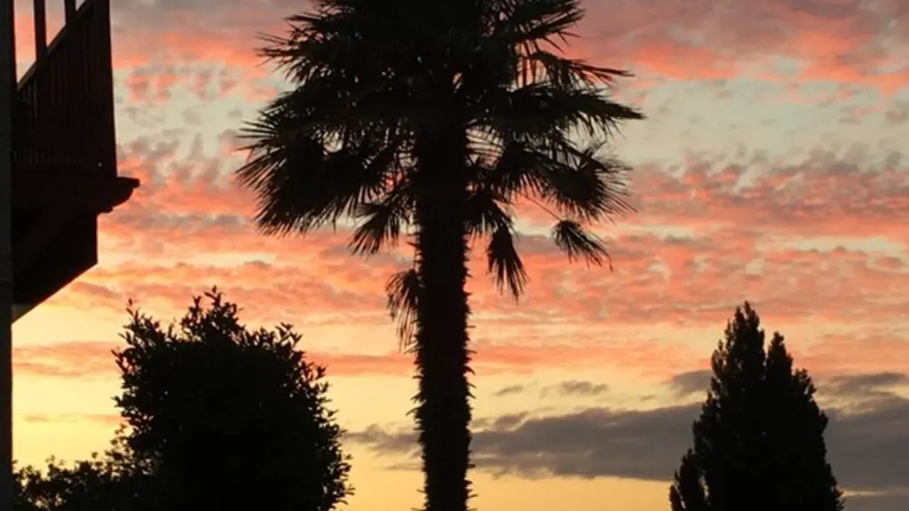 Hôtel Le San Francisco Ile aux Moines