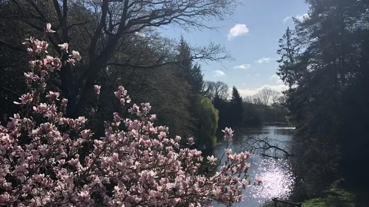 Chambres d'hôtes les coulisses de la nature (2)