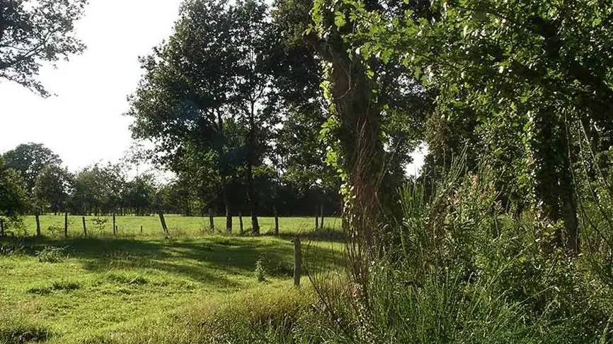 Camping-du-Clérigo-Theix-Noyalo-Golfe-du-Morbihan-Bretagne sud