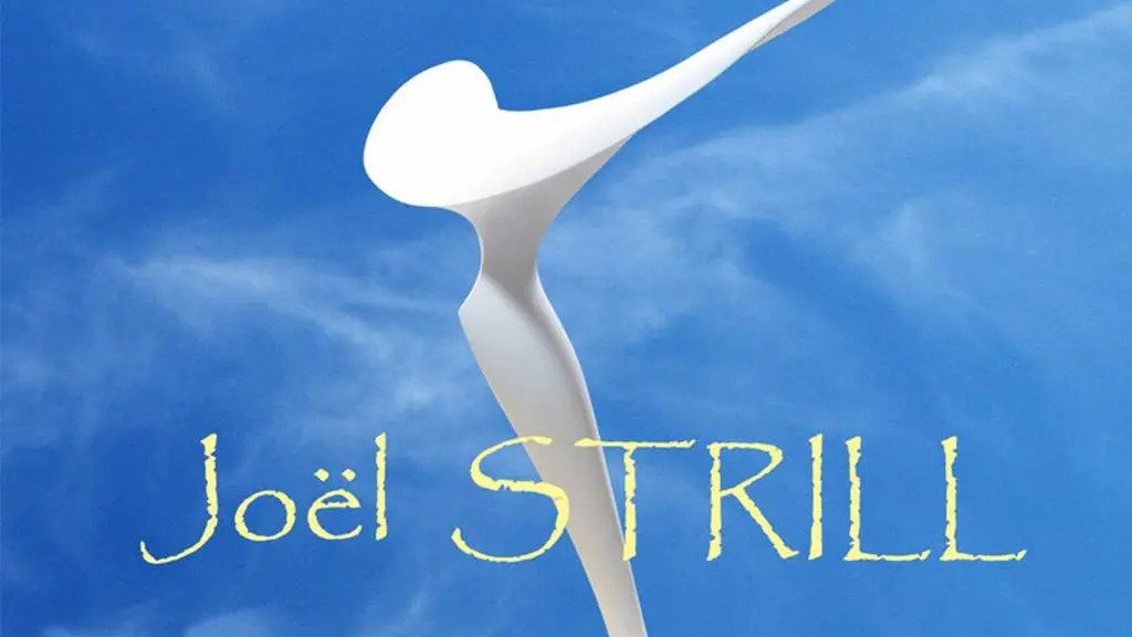 Joël-Strill-Vannes-Morbihan-Bretagne-Sud