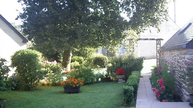Gîte - Oiseaux - Cruguel - Josselin - Brocéliande - Bretagne