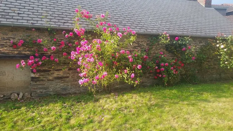 Gîte - Villa - Armel - Ploërmel - Brocéliande - Morbihan - Bretagne