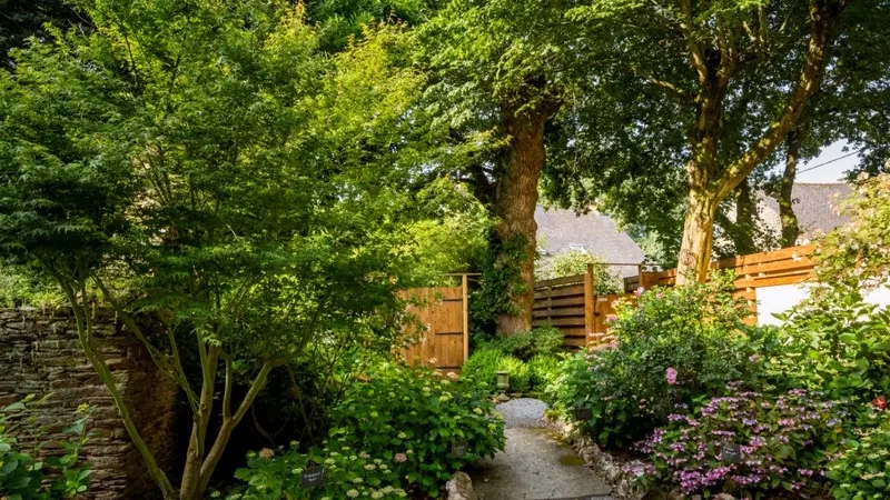 Gîte-Les-Hortensias-du-haut-bois-Taupont-Brocéliande-Morbihan-Bretagne