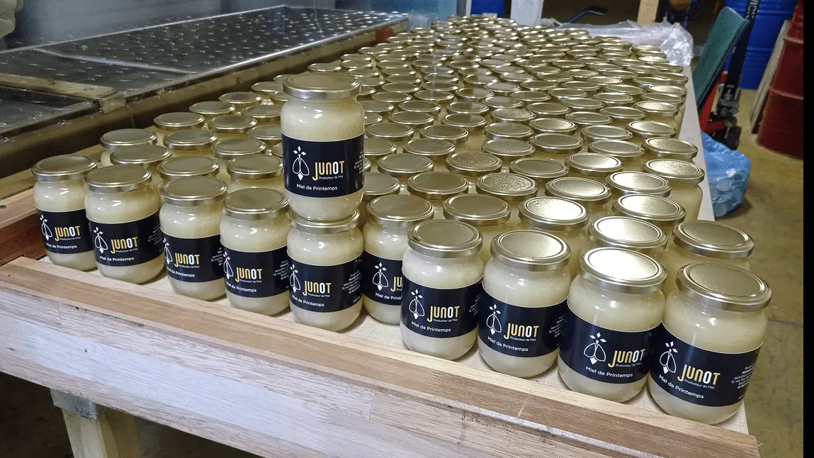 Mickael Junot_Pontivy