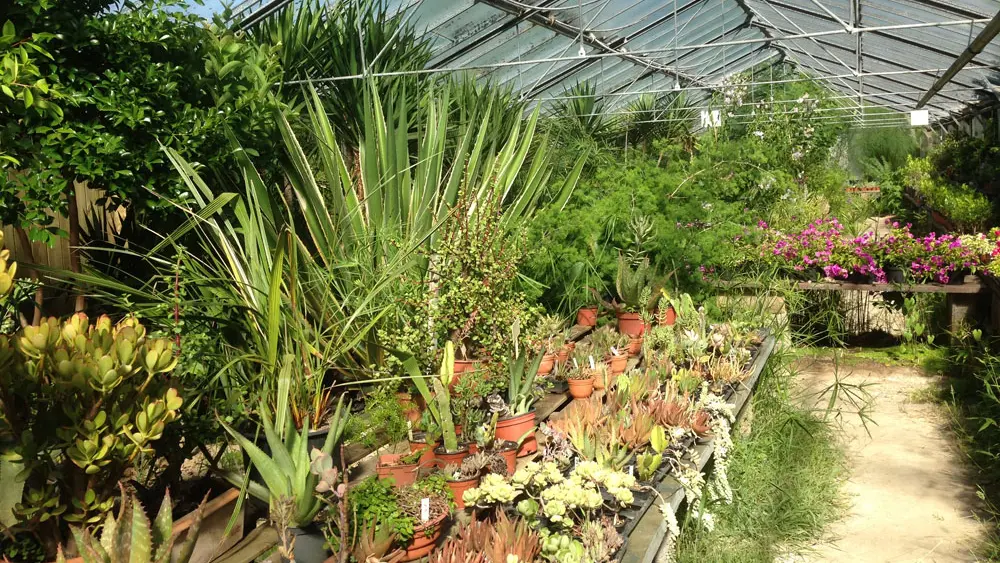 Tropicarium Bonsaï La Baule