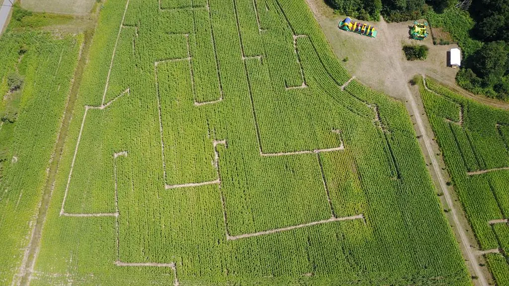 parc-labyrinthe ker ar C'Hoari Guidel-Lorient-Morbihan-Bretagne sud