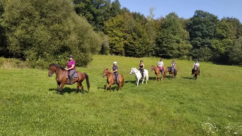 randonnées équestres - écuries de Kerviolo - Loyat - Brocéliande