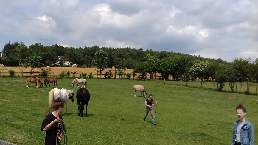 les-chevaux-du-vent-la-claie-des-landes