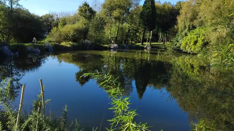 Gîte - coin - des - rêveurs - Hellean - Brocéliande