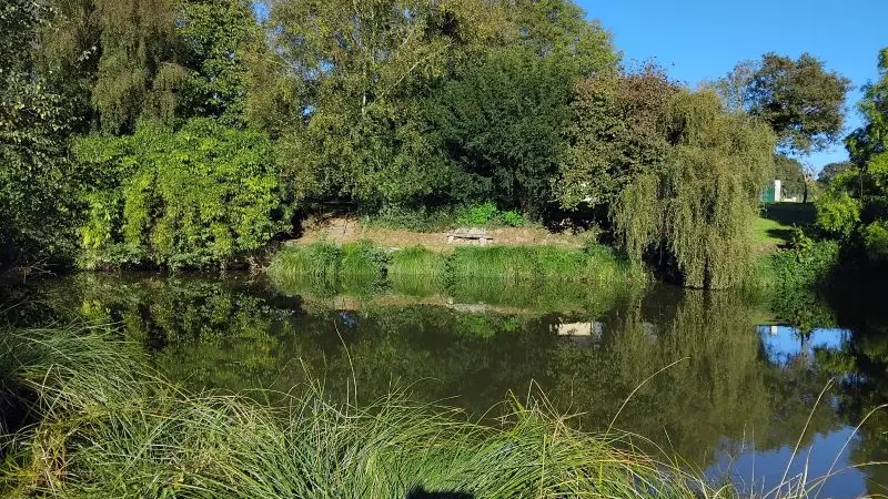 Gîte - coin - des - rêveurs - Hellean - Brocéliande