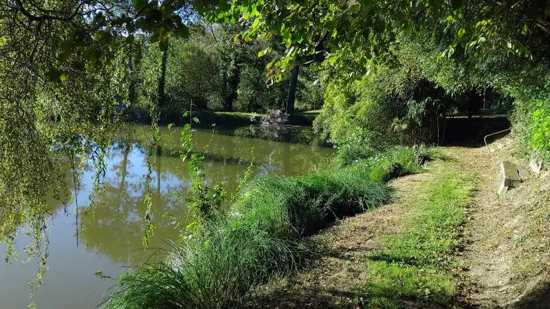 Gîte - coin - des - rêveurs - Hellean - Brocéliande
